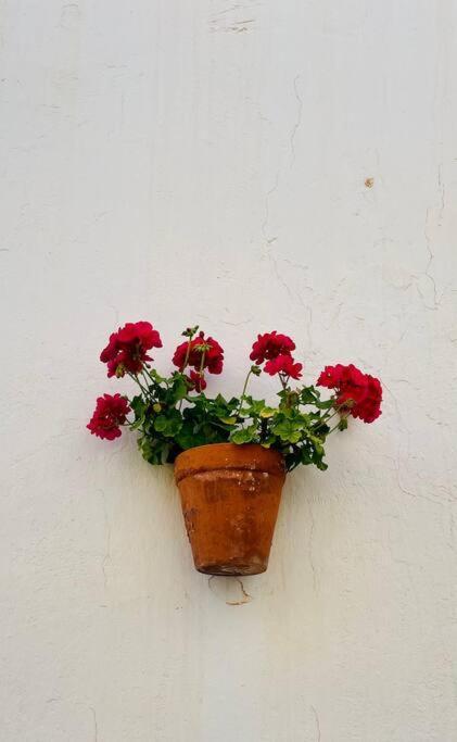 Couples Only, Beautiful 1 Bedroom Apartment In Victoria Building Mojacar Bagian luar foto